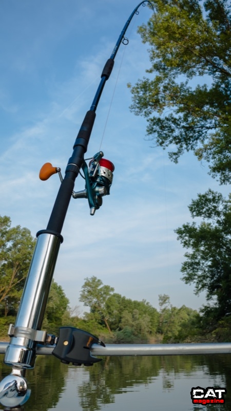 In pesca