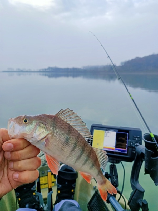 IMG_20201220_220639